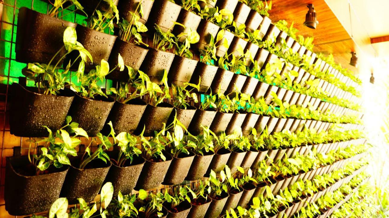 Thayamkery'S Royal Inn Kochi Extérieur photo